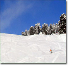 Alpine Meadows Ski Resort